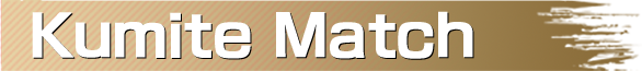 Kumite Match